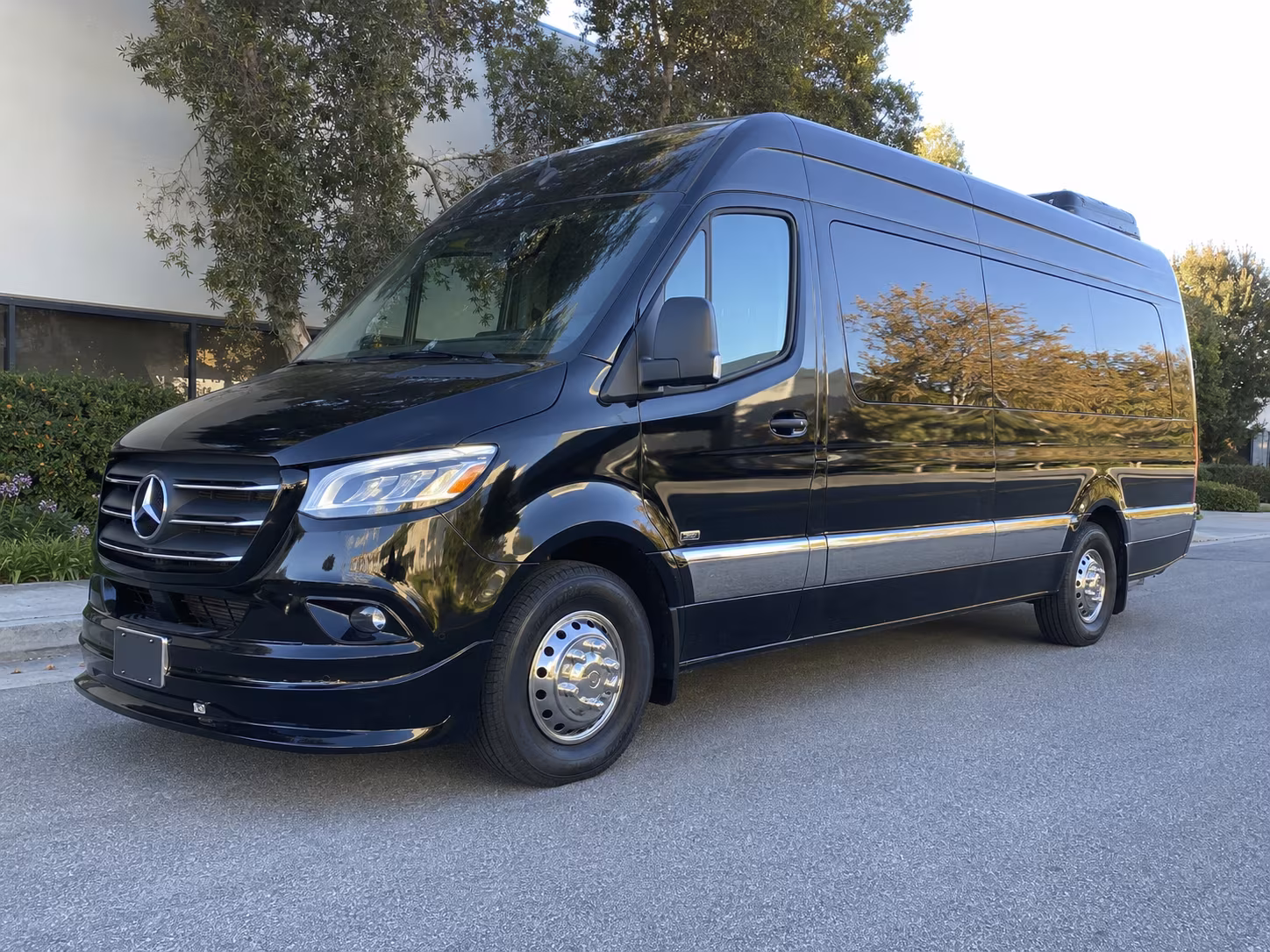 14 Passenger Sprinter Limo